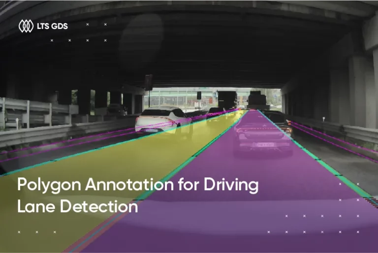 Polygon Annotation for Driving Lane Detection