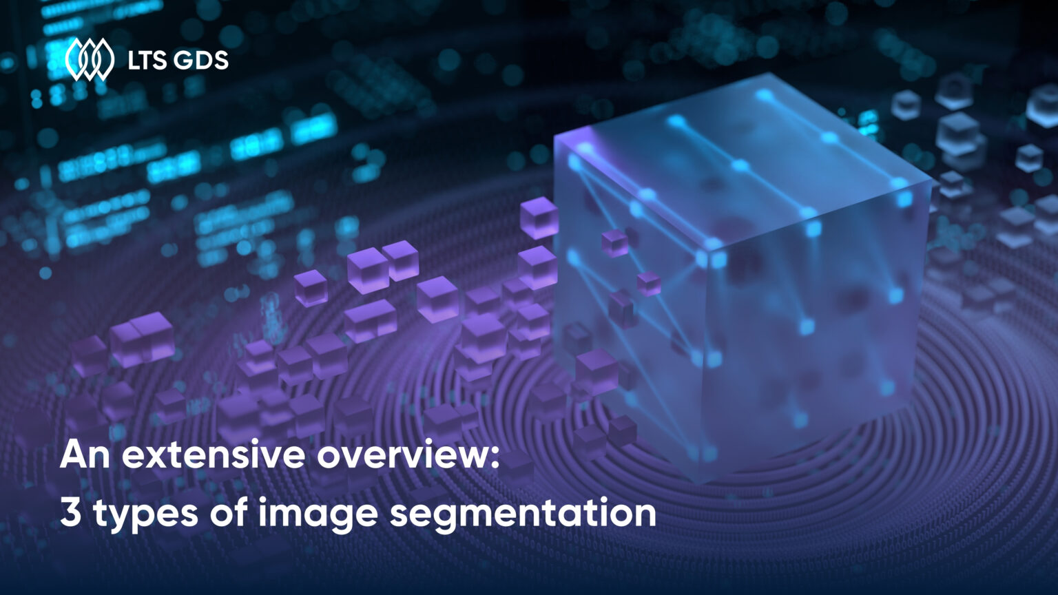 An Extensive Overview: 3 types of image segmentation