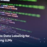 A Guide to Data Labeling for Fine-tuning LLMs  