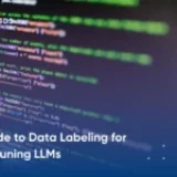 A Guide to Data Labeling for Fine-tuning LLMs  
