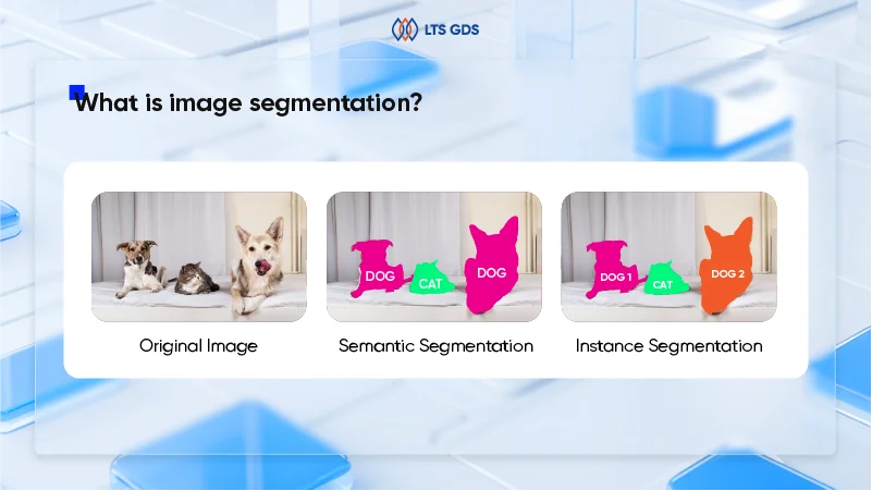 semantic segmentation vs instance segmentation - what is image segmentation