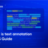 What is text annotation | 2025 Guide