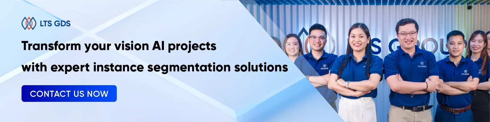 instance segmentation 