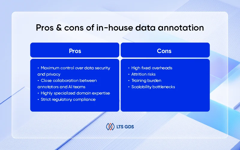 pros & cons of in-house data annotation