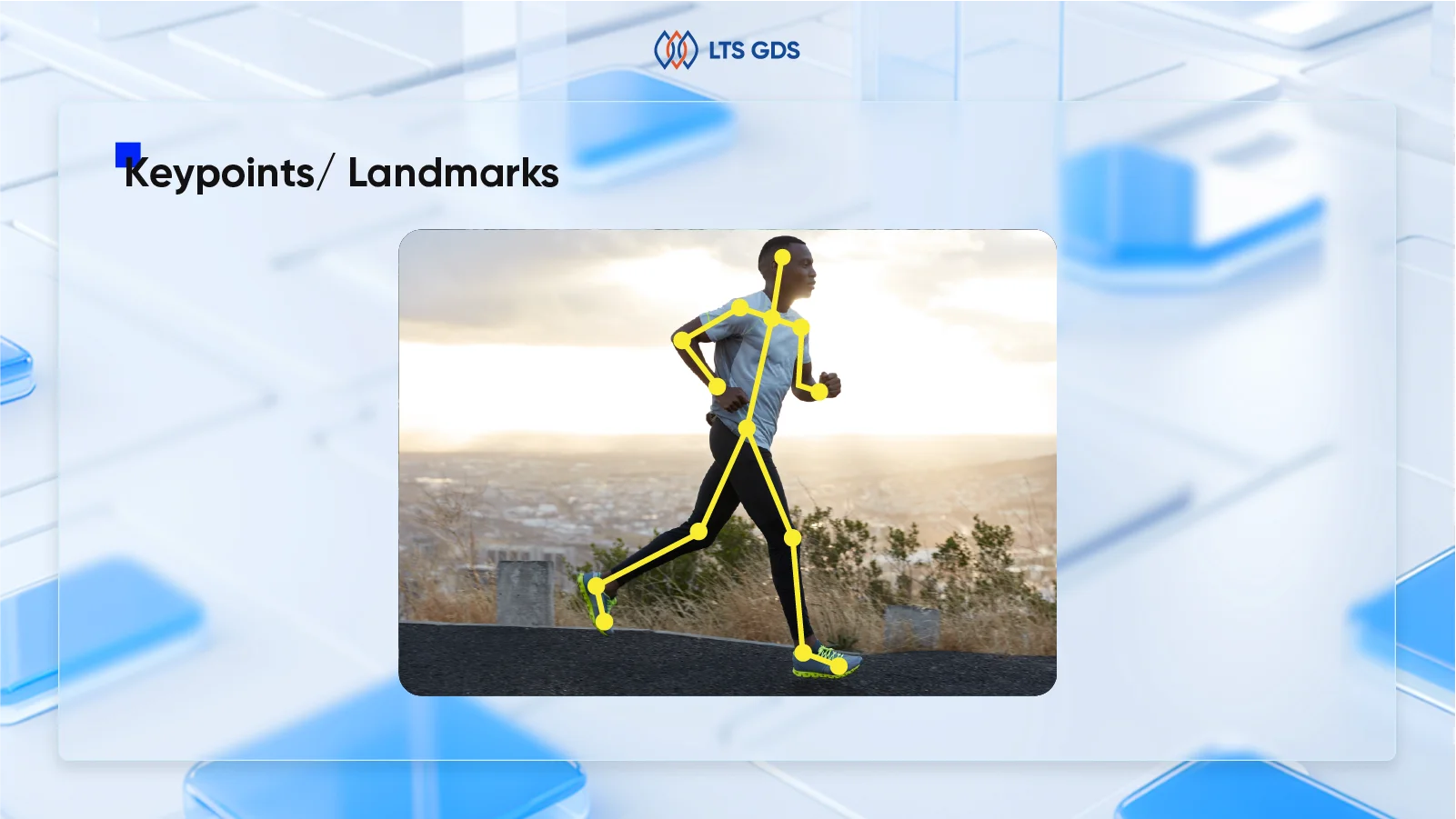 video annotation - key point landmark