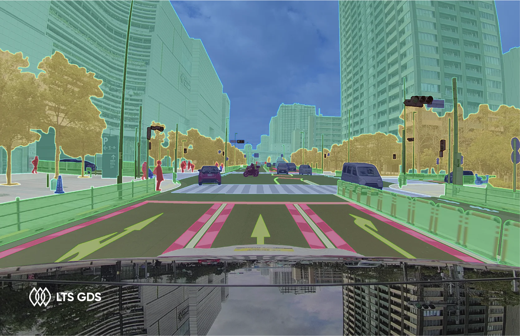 data labeling companies LTS GDS case study