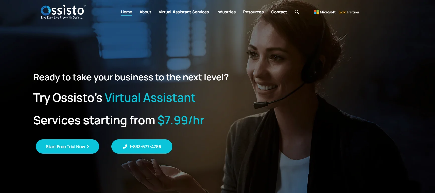 ossisto data labeling companies