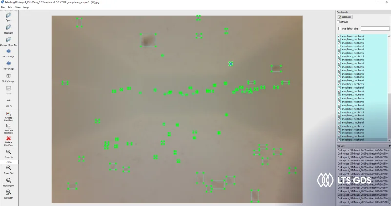 2D Bounding Box Annotation for Larvae​