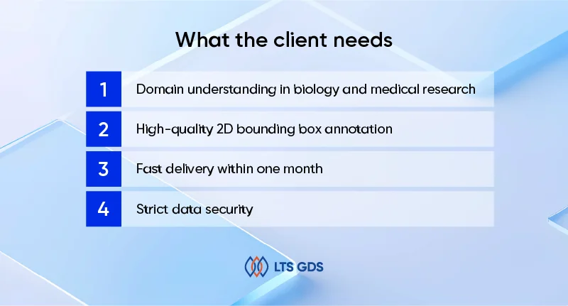2D Bounding Box Annotation for Larvae​